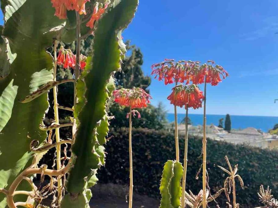 Nervi Residenziale A Due Passi Dal Mare Apartment Genoa Bagian luar foto
